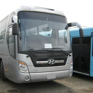 Продаём автобусы Дэу Daewoo Хундай Hyundai Киа Kia в Омске. Шахтинск.